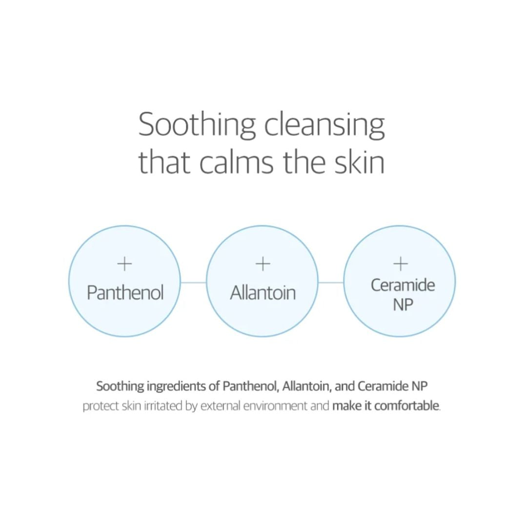 Round Lab 1025 Dokdo Cleanser