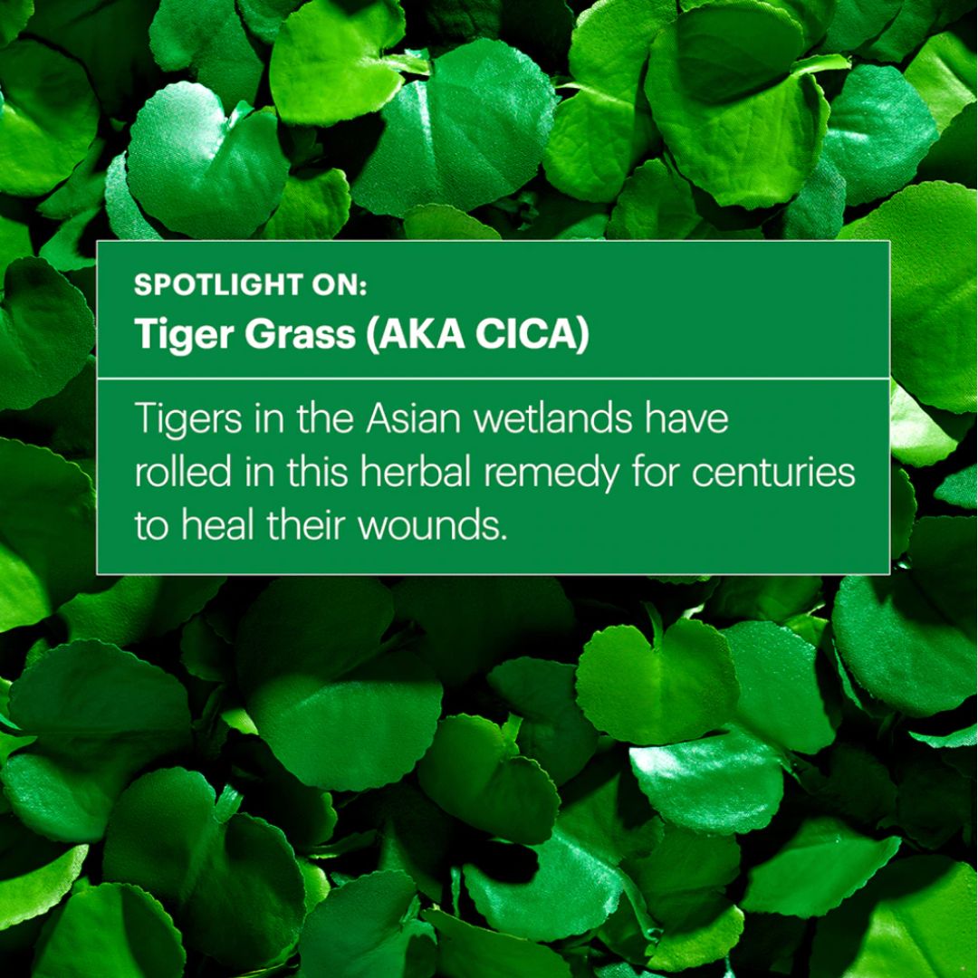 Dr. Jart+ Cicapair Tiger Grass Color Correcting Treatment